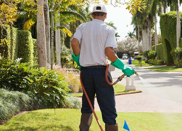 About Dyersville IA Pest Control